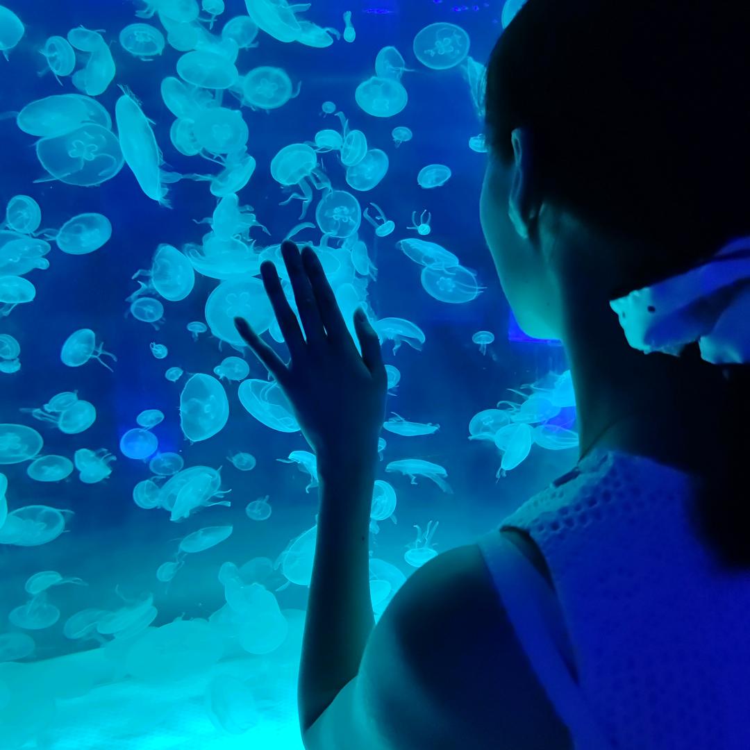 只昂๓🦈