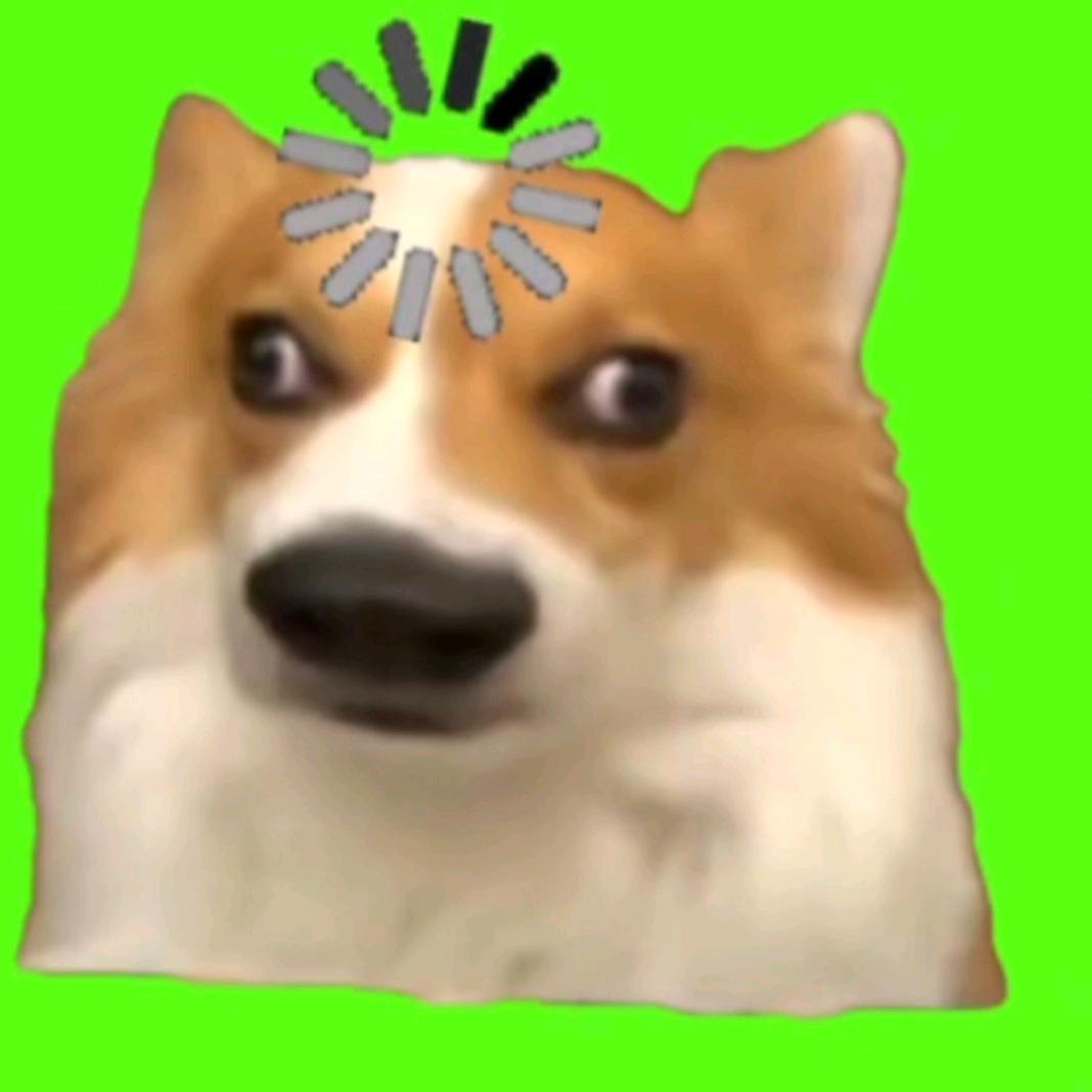 小小猫meme剧场
