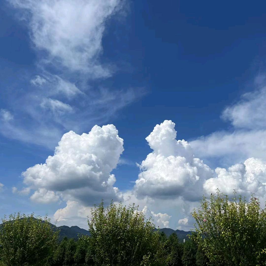 木语