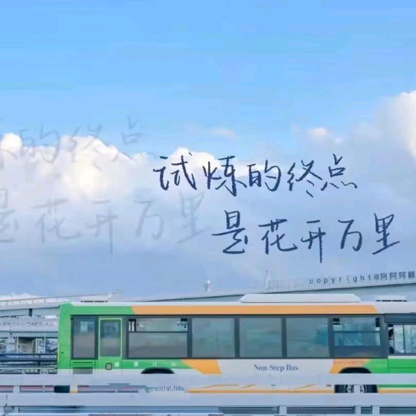 哈喽，哥们！