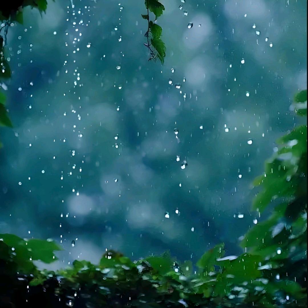 半山听雨