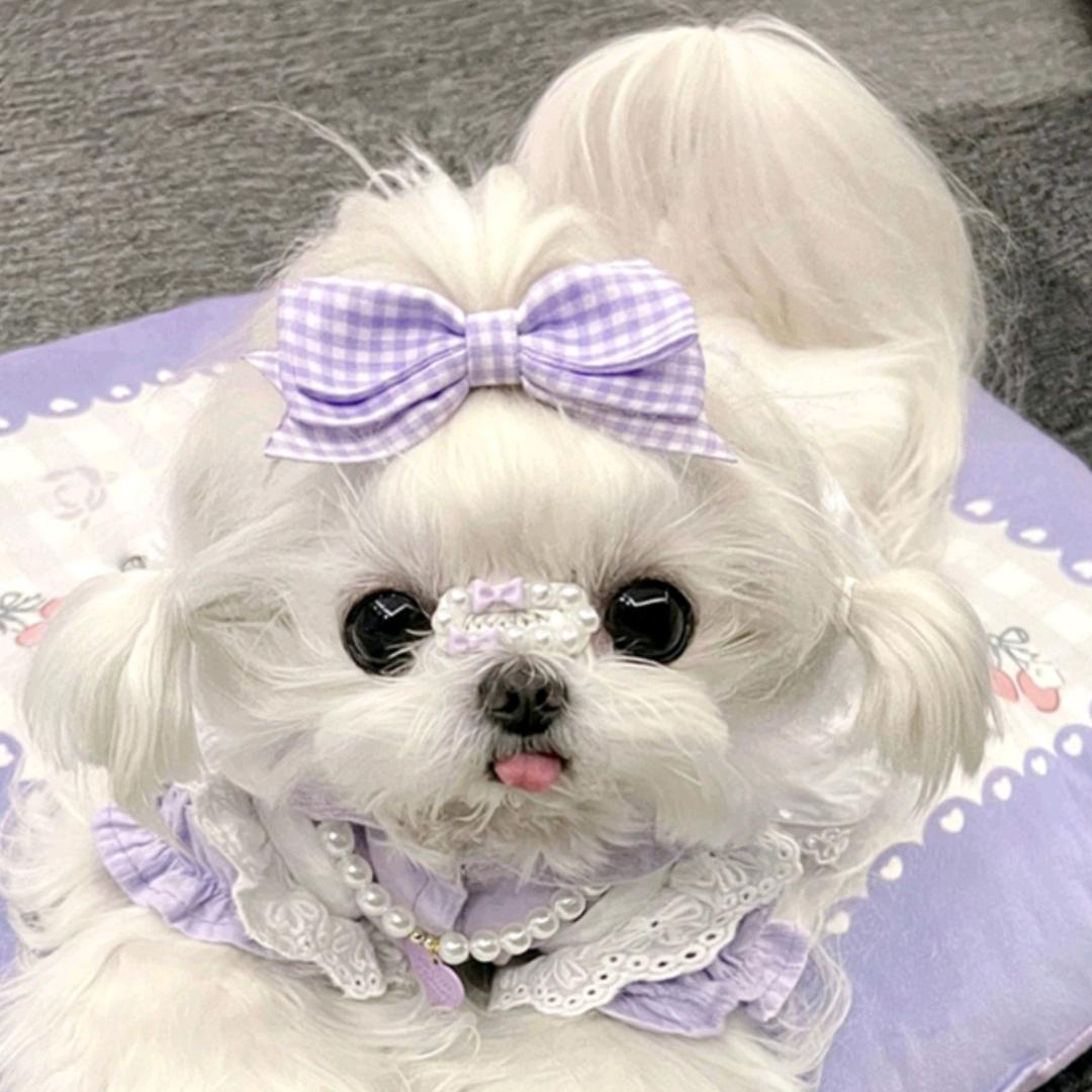 ＠_@开心果