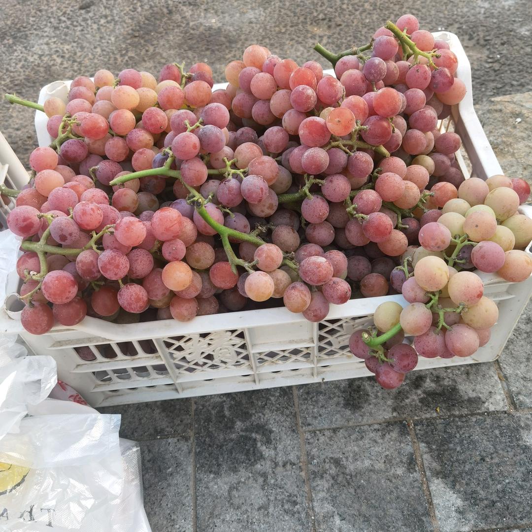 花开半夏