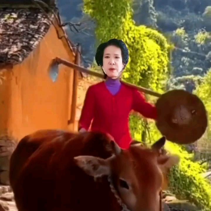 @我是你马大姐吖~（｡ò ∀ ó｡）