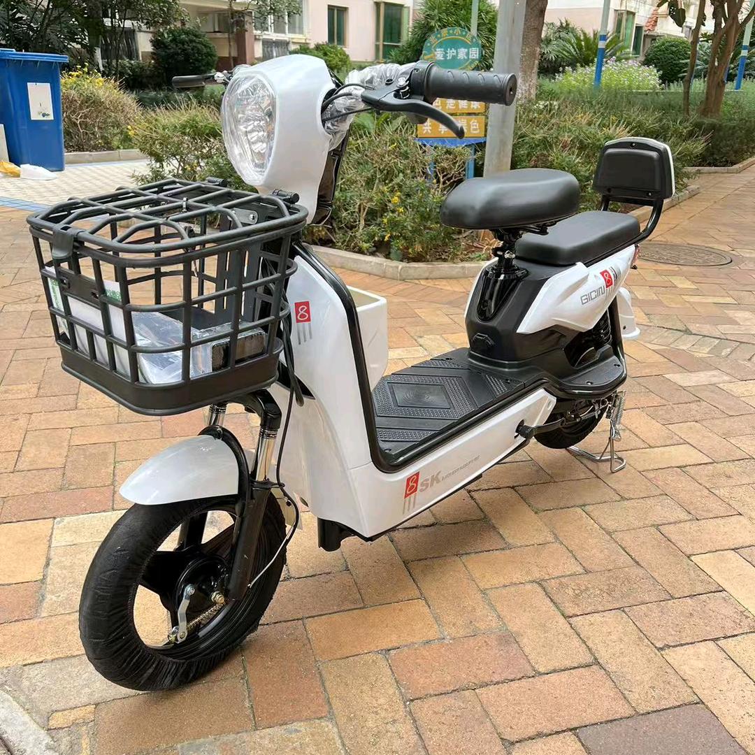 新国标电动车工厂直发仓