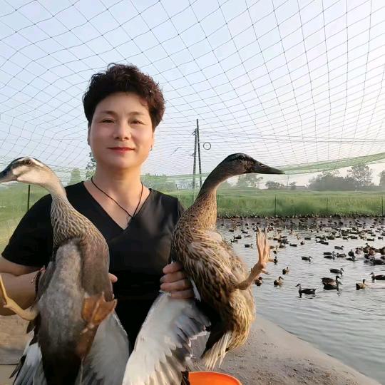 荒无烟生态养殖基地