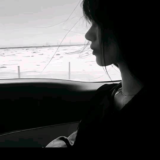 聊赠一枝春