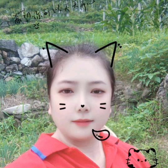 朗朗星空，杨庄媛八月紫葡萄园农产品