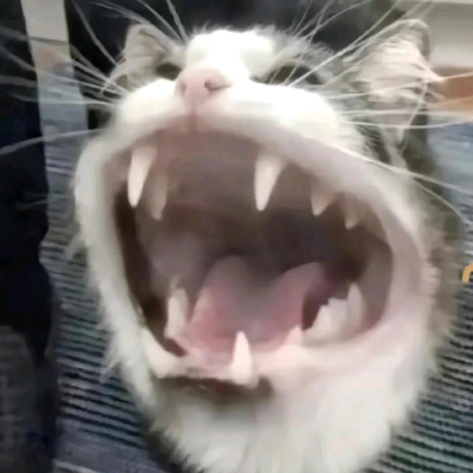 快来看书