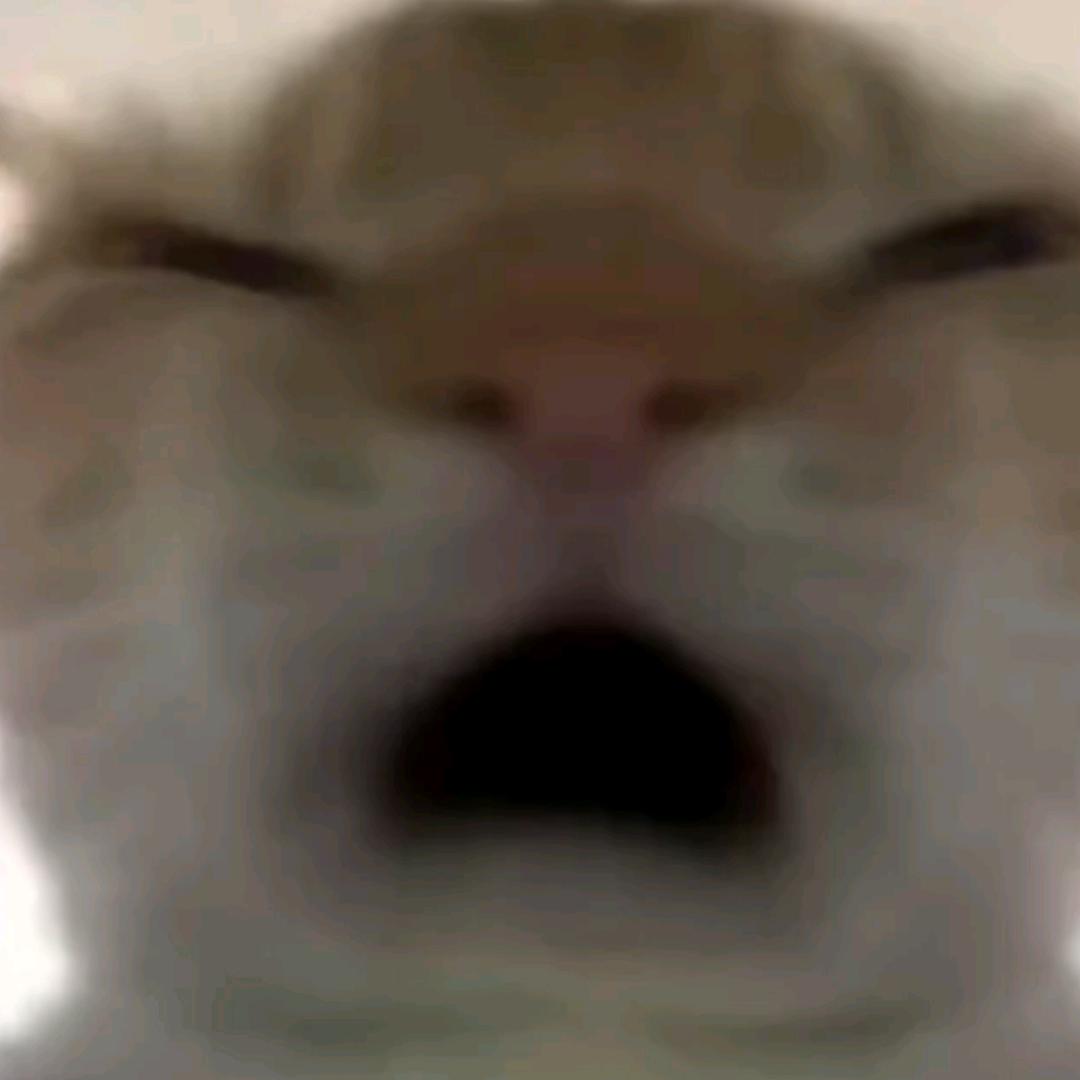 （跑刀）三角洲行动