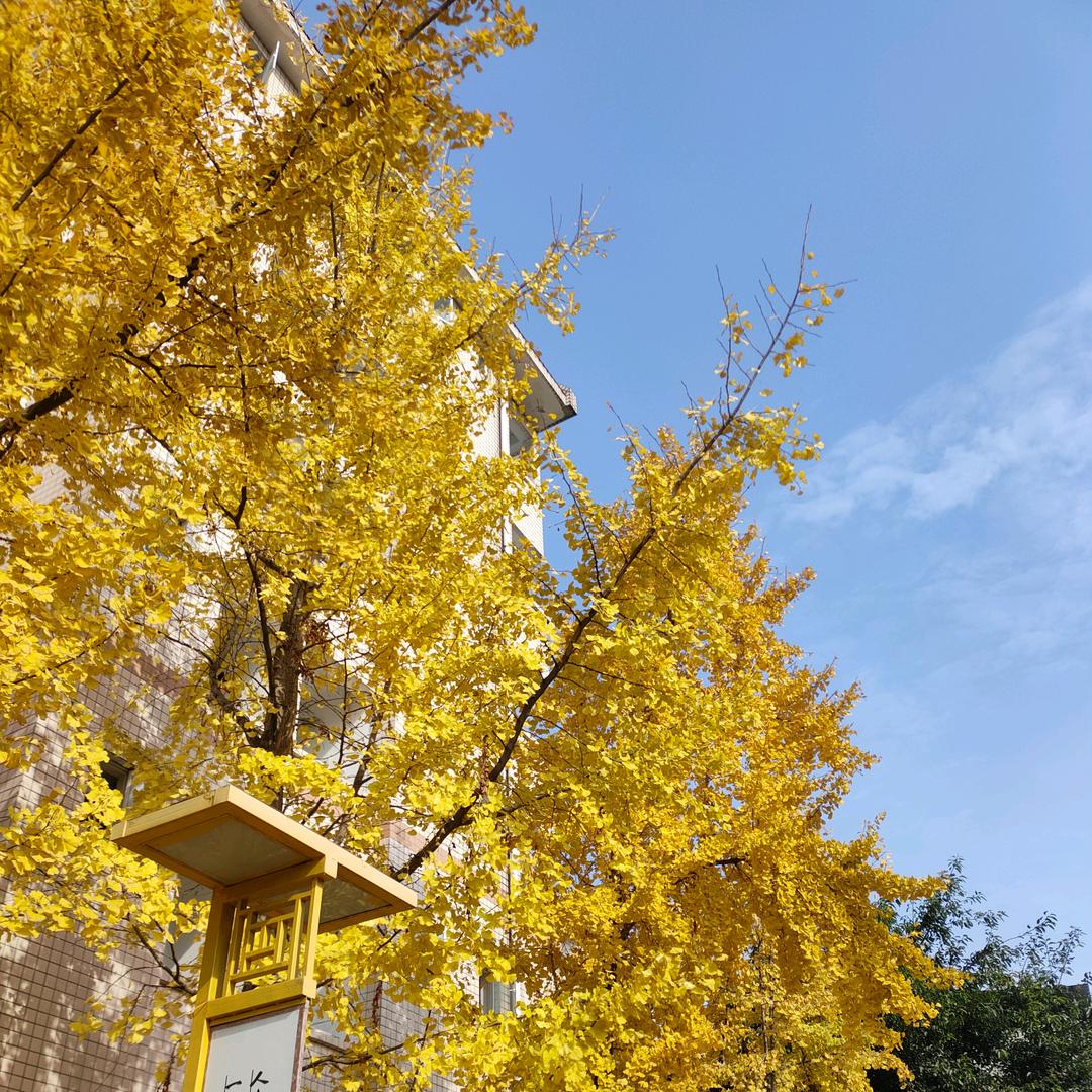 广州院时商贸店（个人独资）