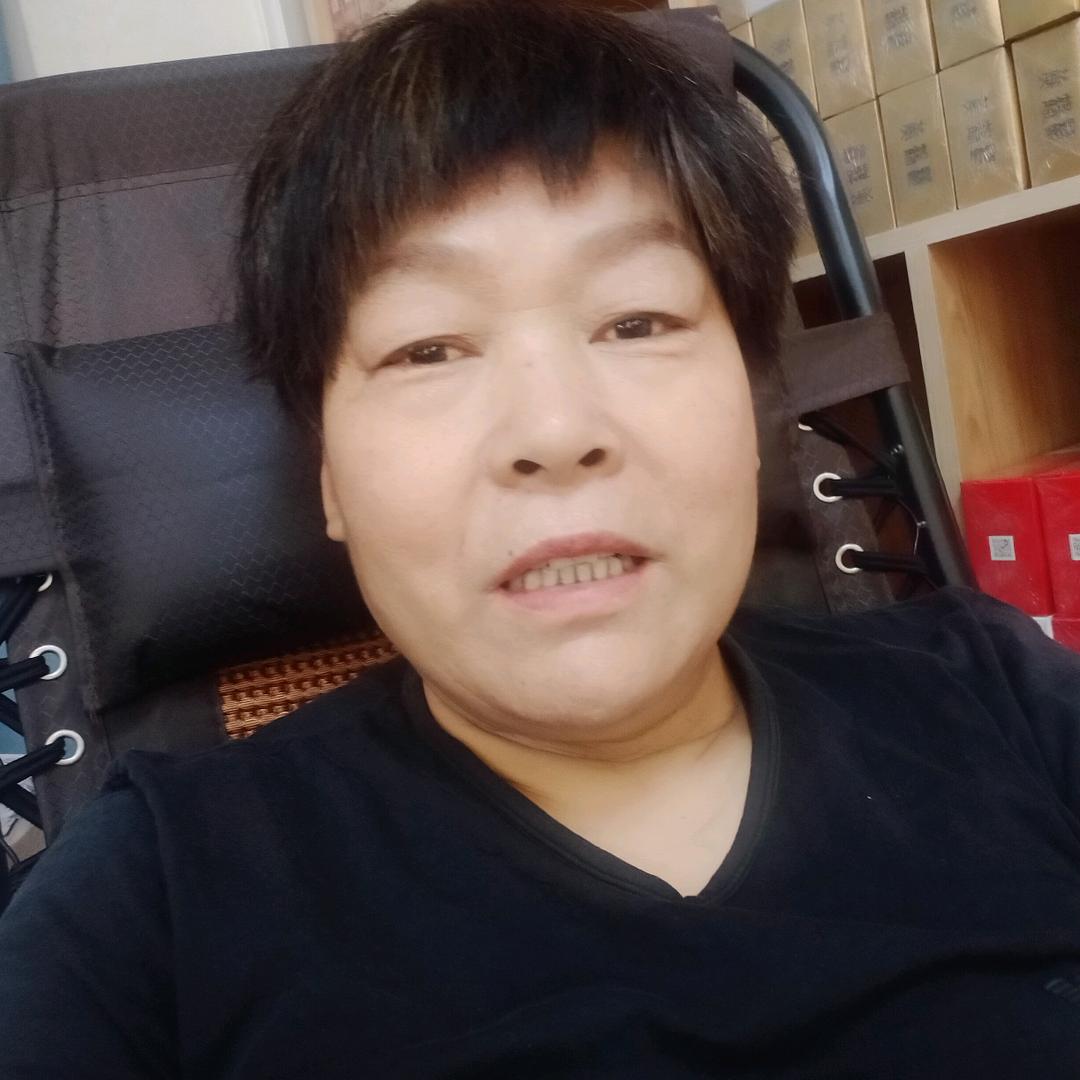 山东燕子