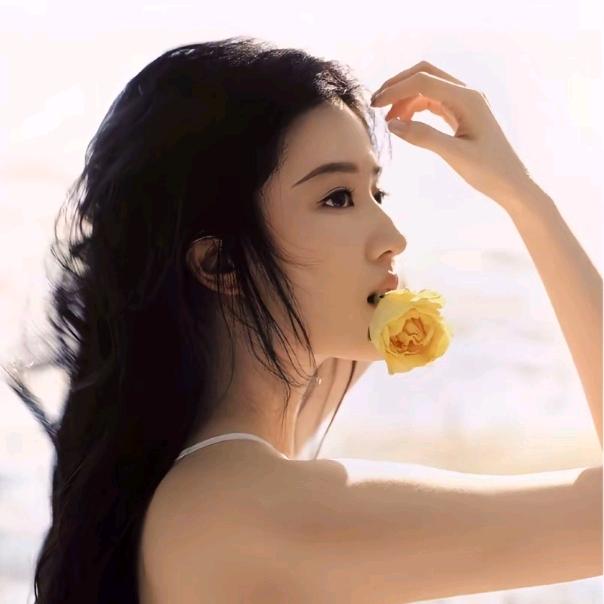 老坛杉菜