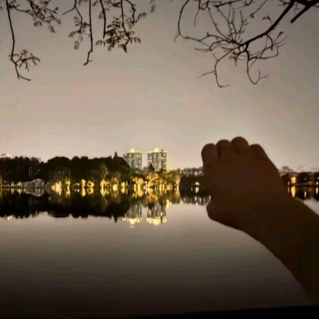 今年小李子胖了