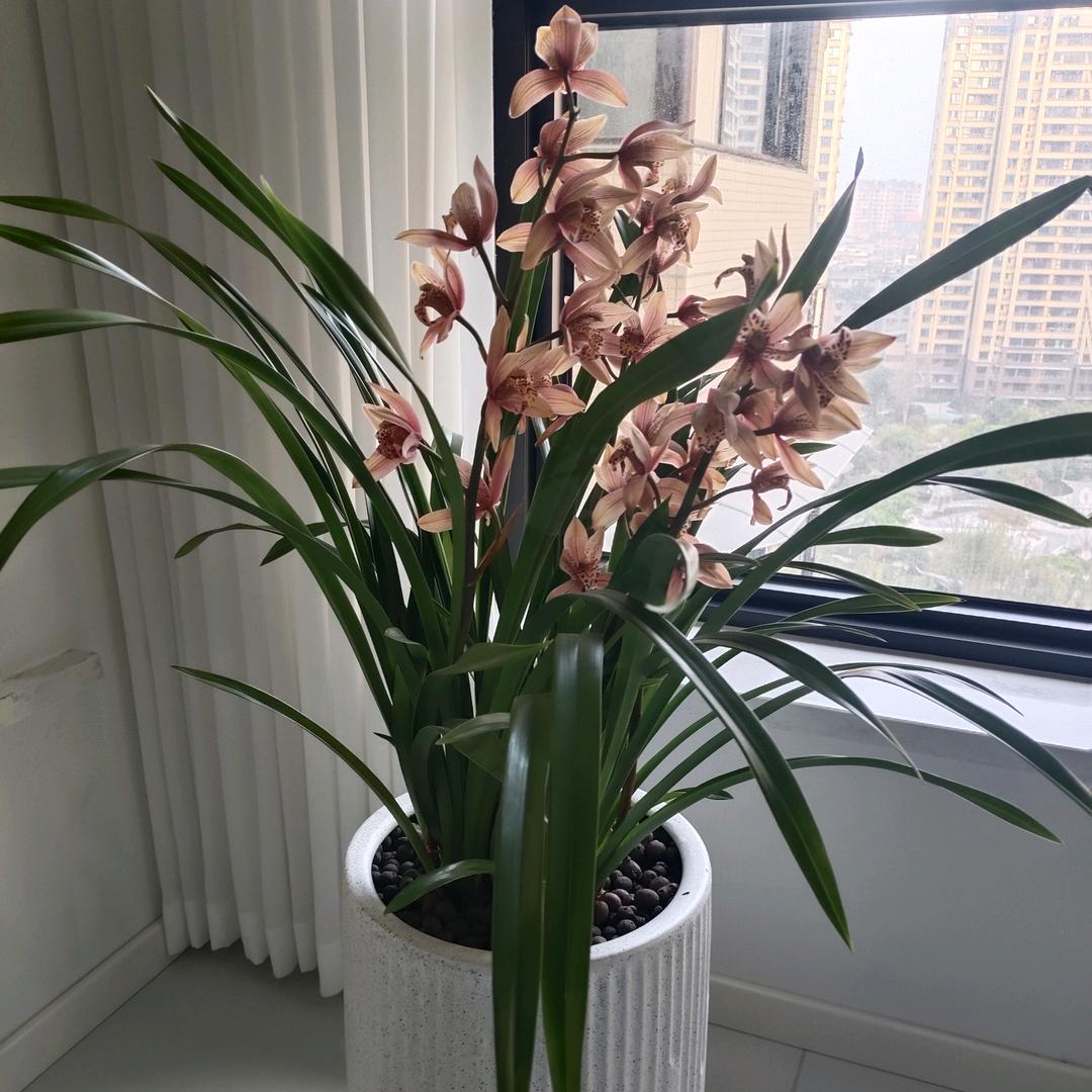 公主”请上车🚲