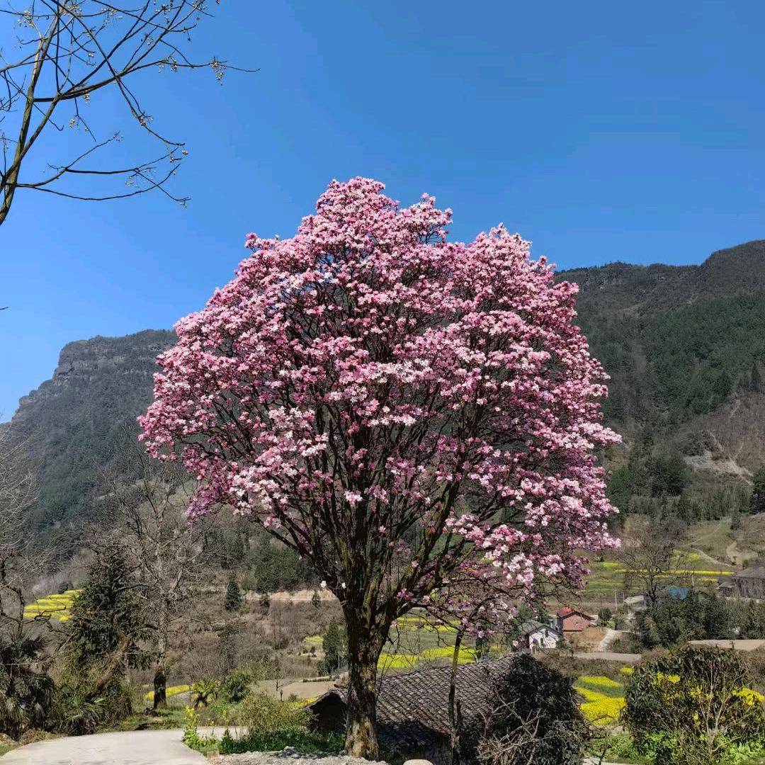 请叫我一声刘老师