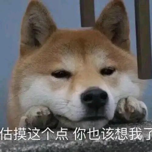 在党的光辉照耀下