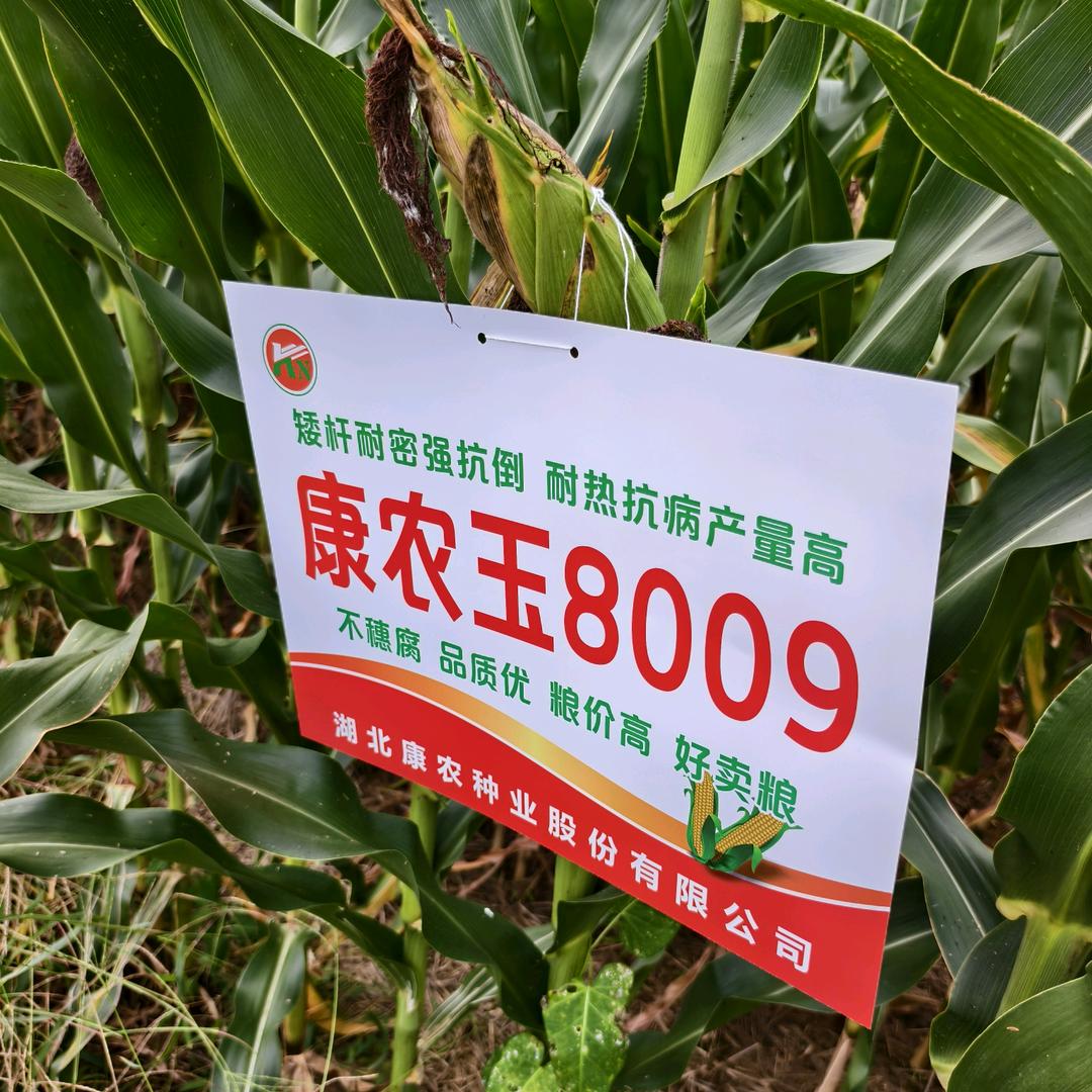 山东省兆芸农业有限公司