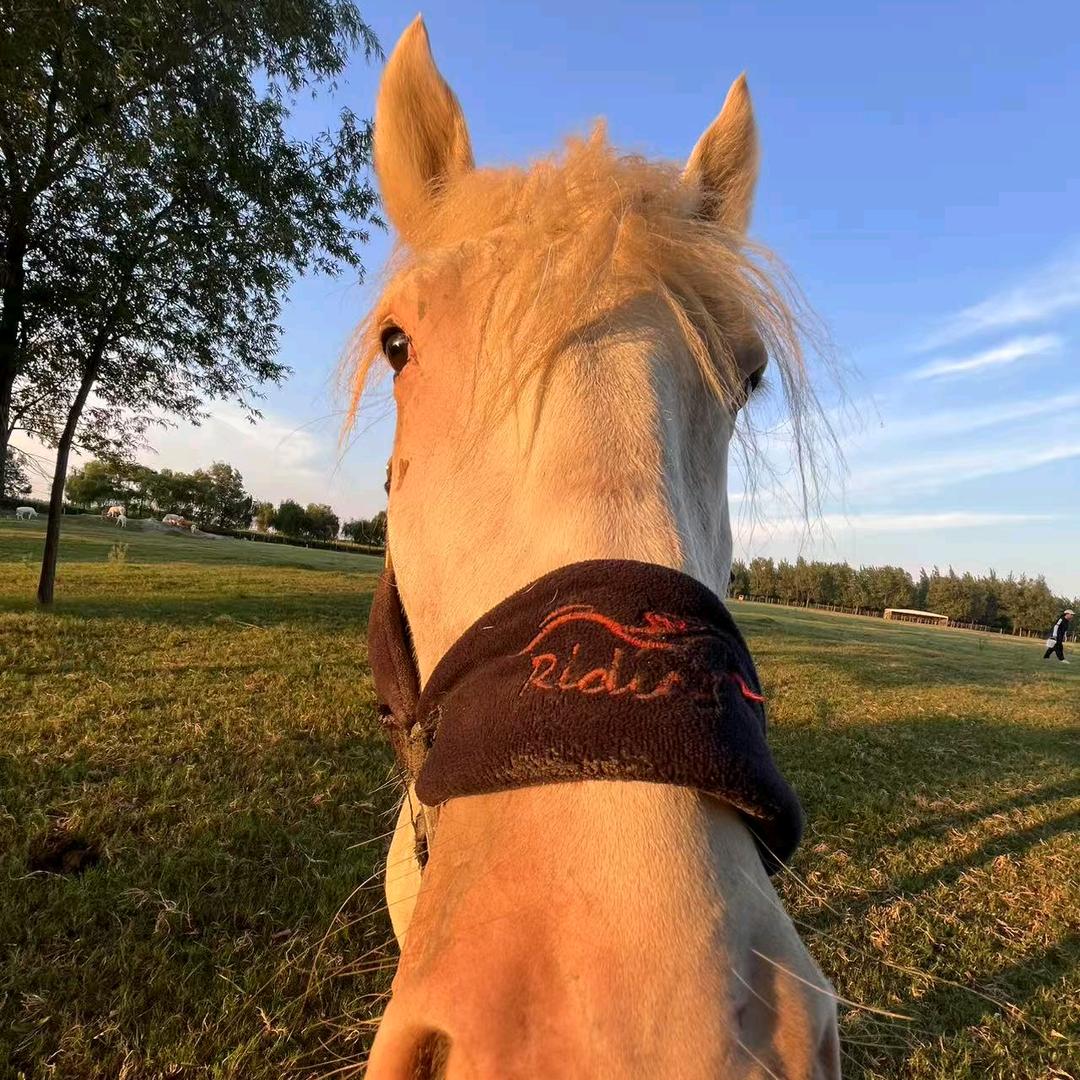 星川牧场跑马场官方号