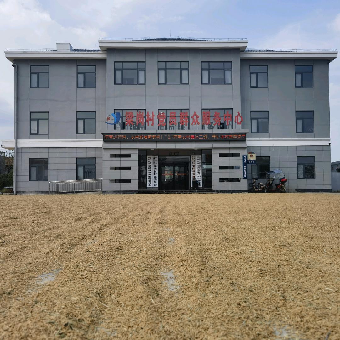 梁岗新农人