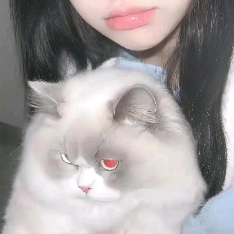 Nefert