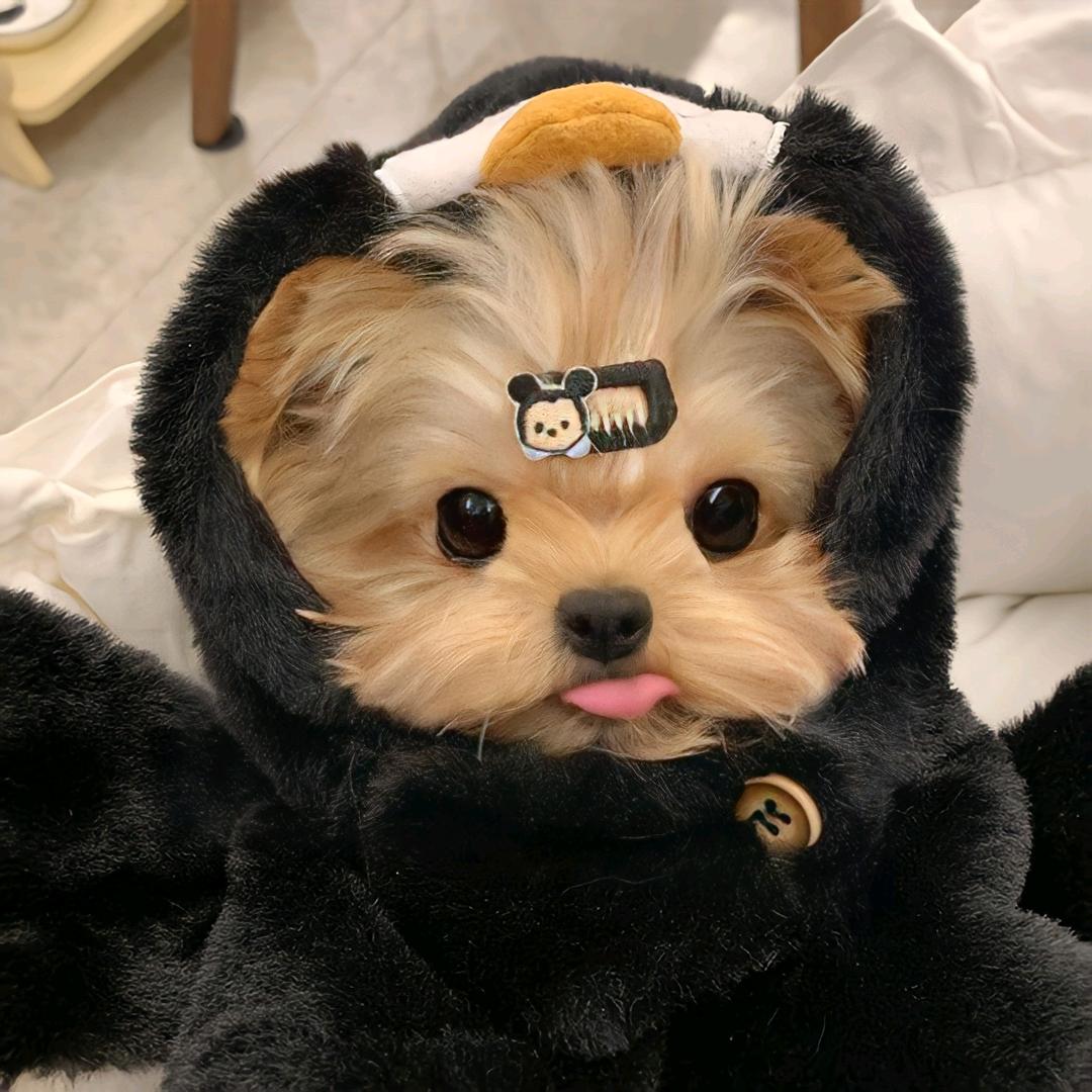 莹松生活小铺子