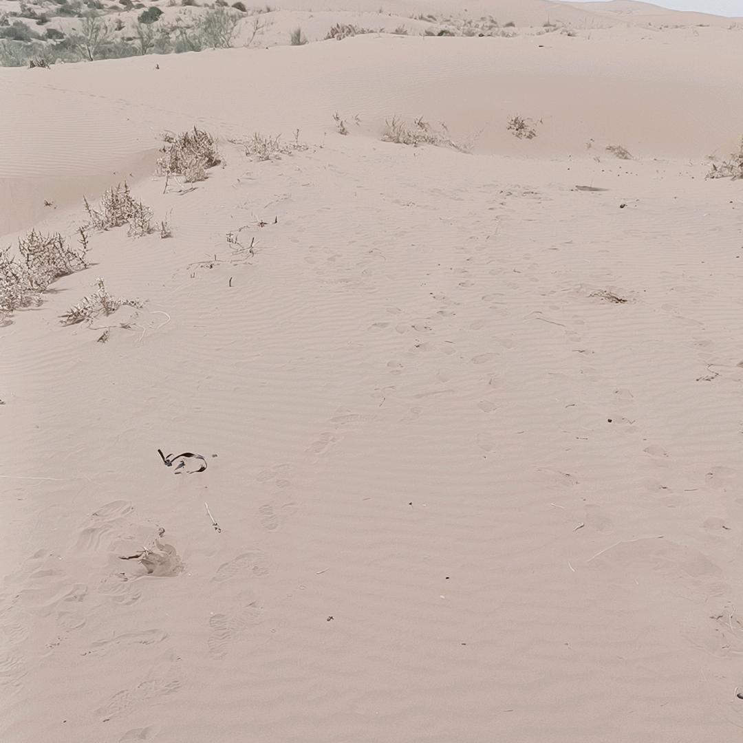 ㅤㅤㅤㅤㅤㅤㅤㅤ