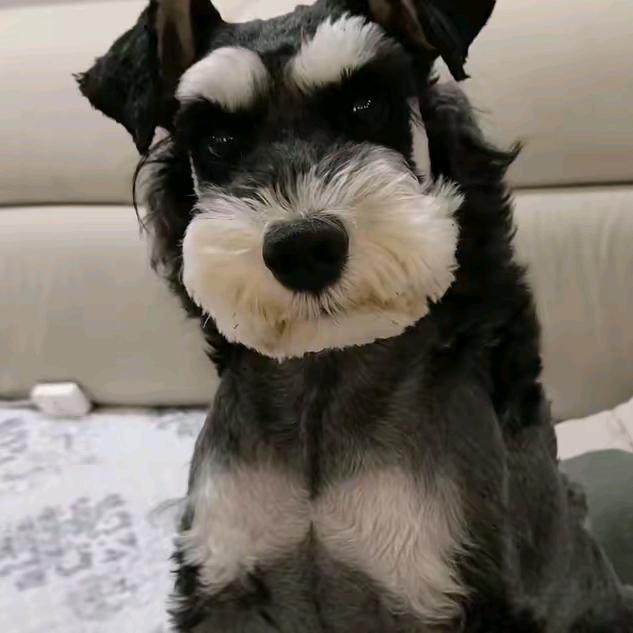 生而为人