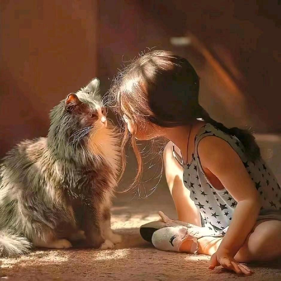 一切顺其自然，