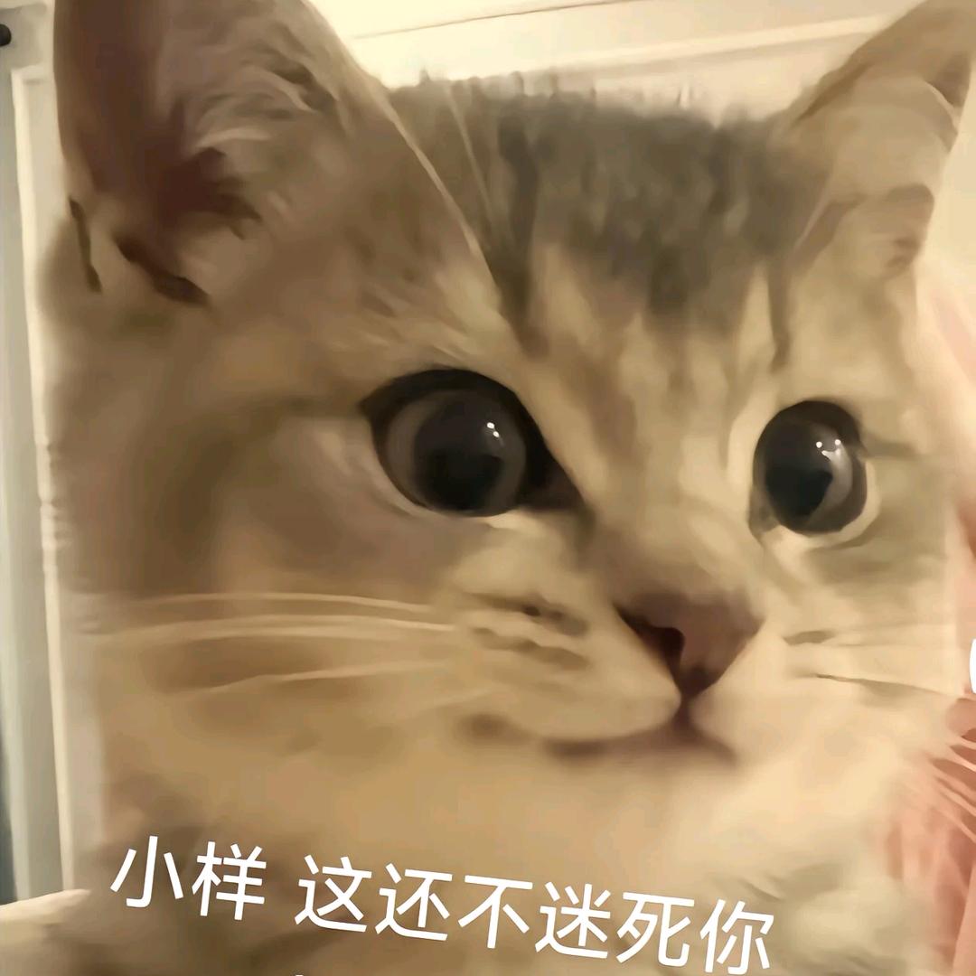绀香十一