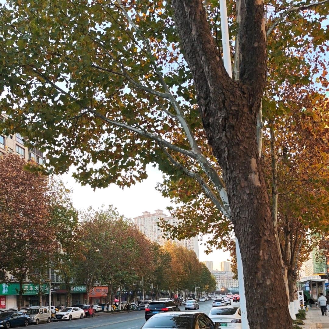 小嘉学长（顺峰团队）