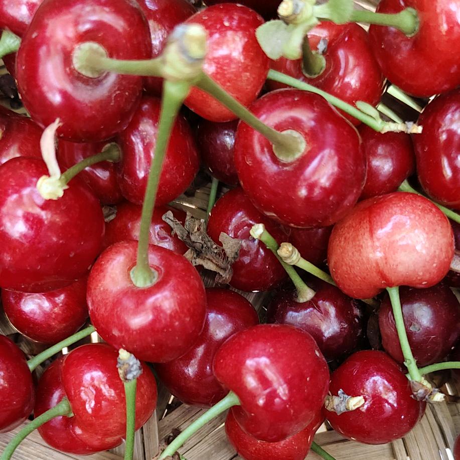 ✨*✨人间总有一两风，填我十万八千梦