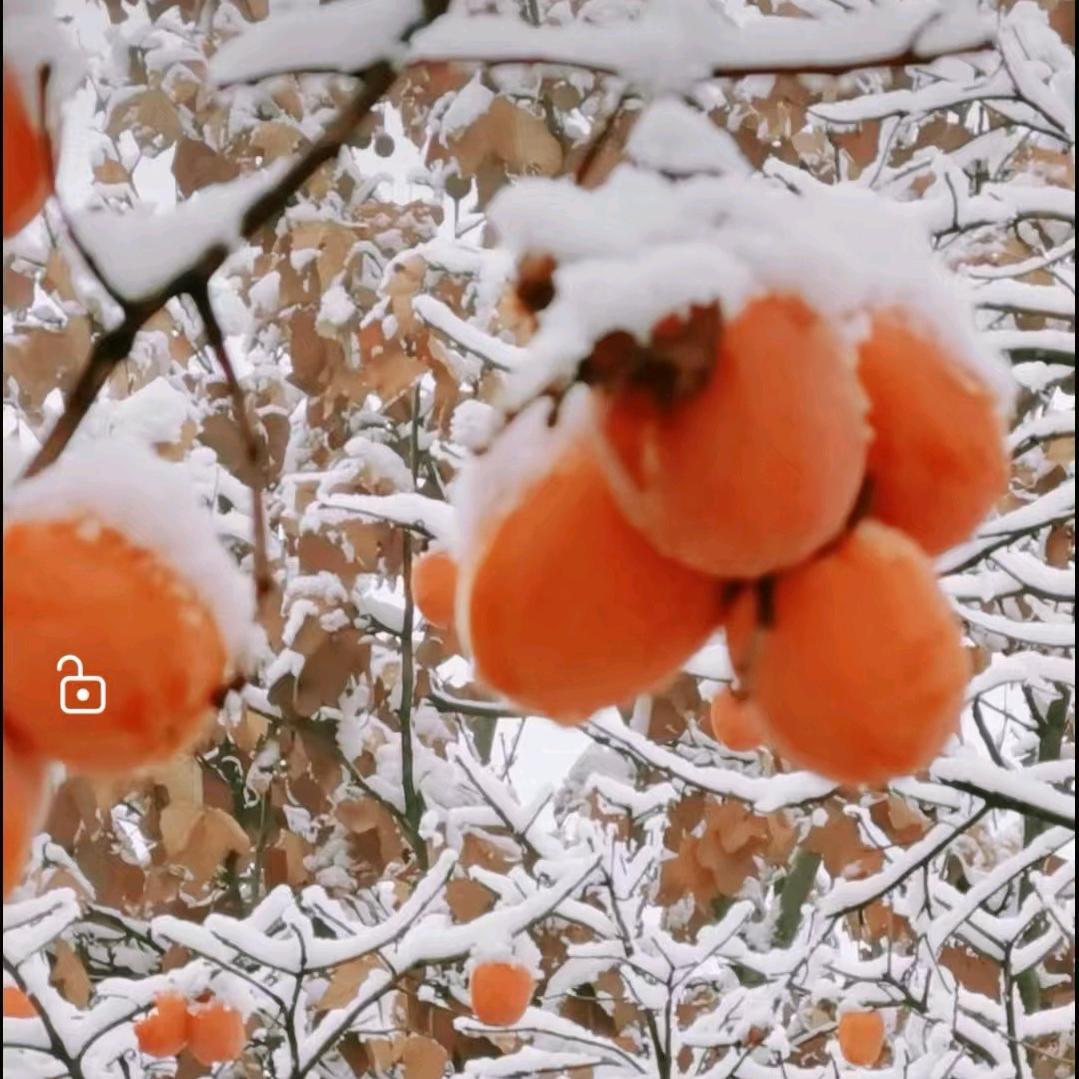 龙行天下