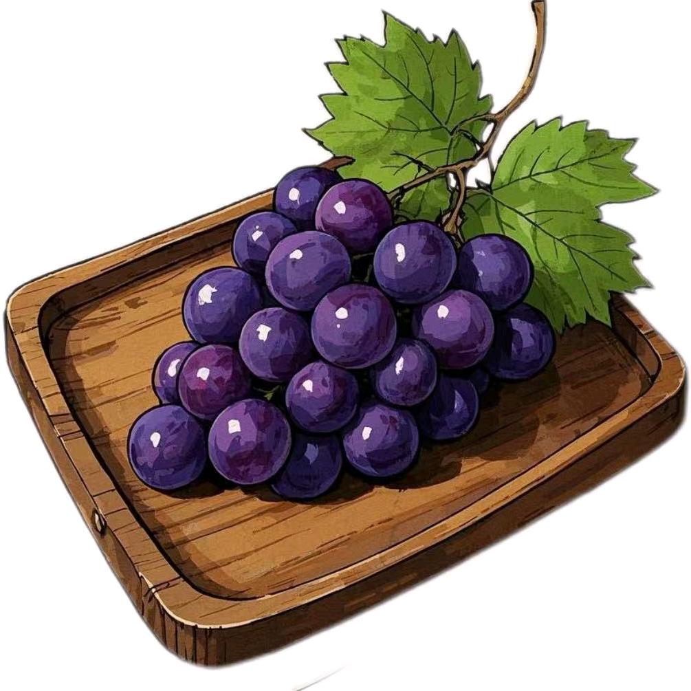 葡韵津腹🍇