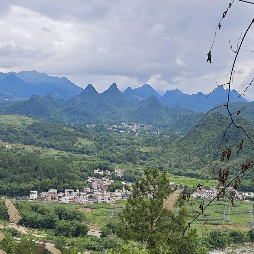 道法自然（古籍古书）