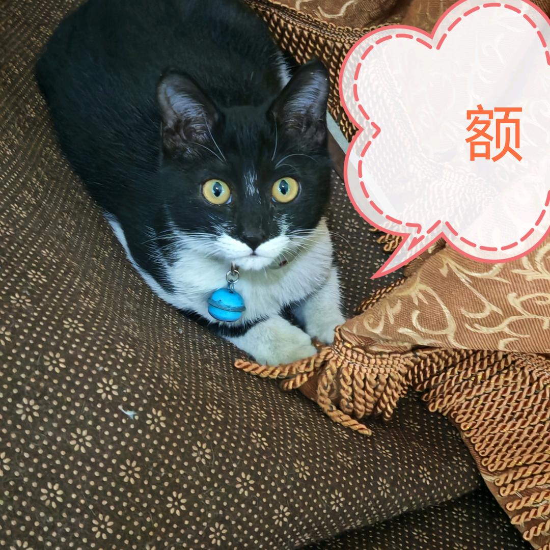 三生三世