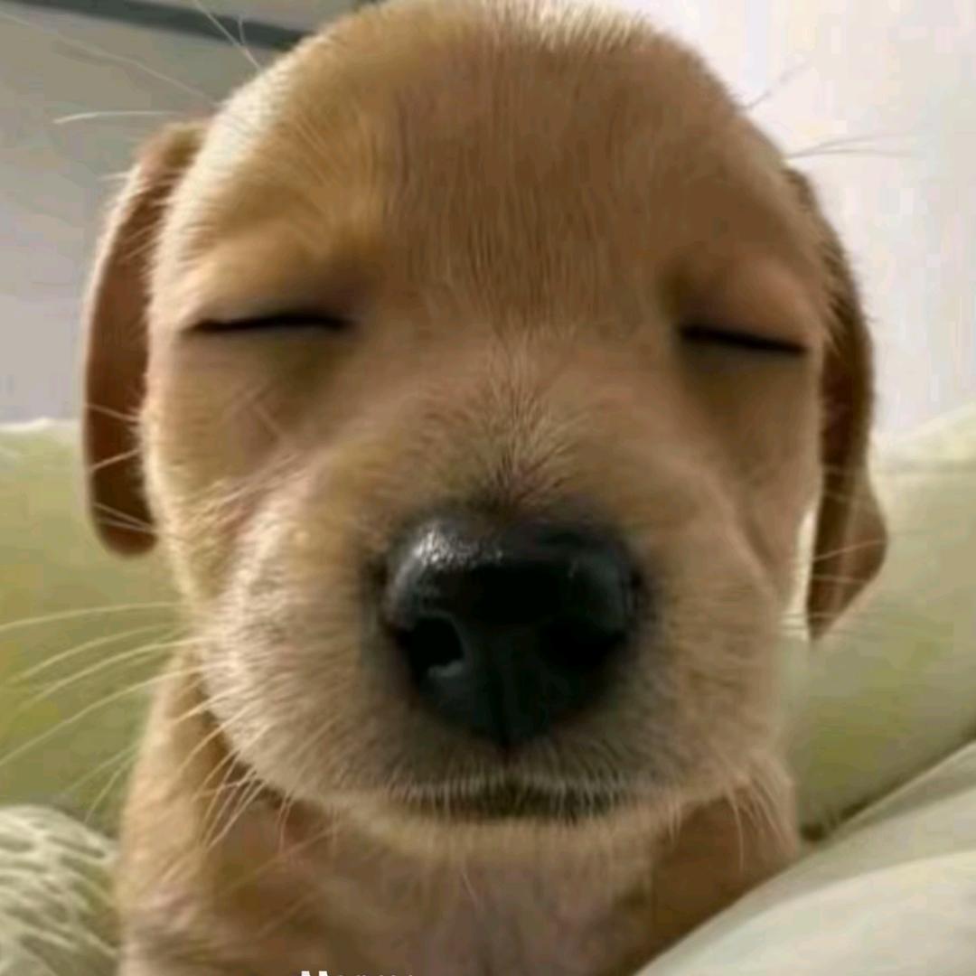 1376