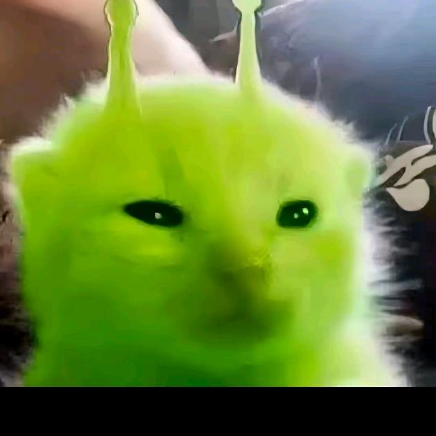 陌生人
