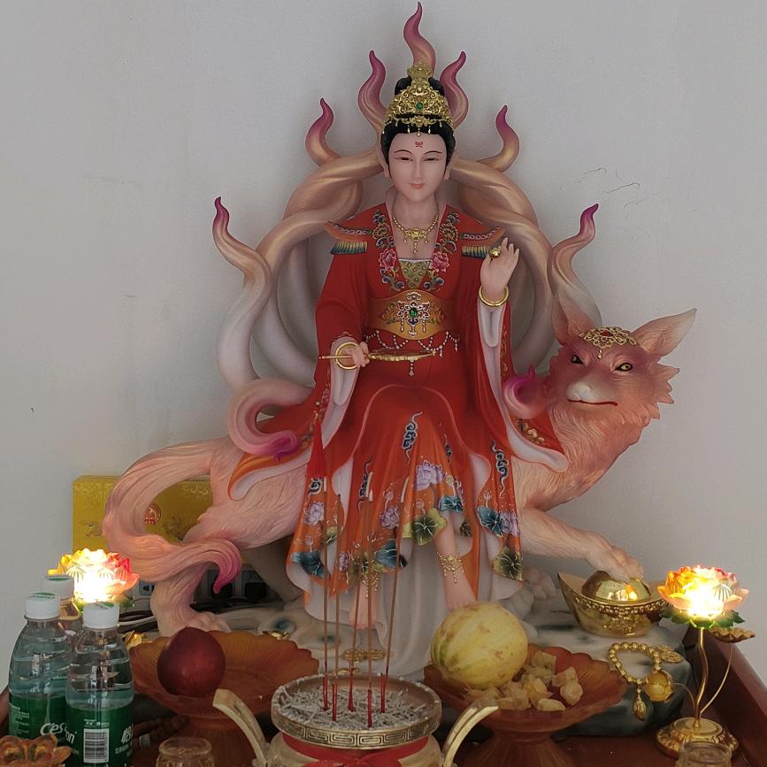 道医   爱它护生园