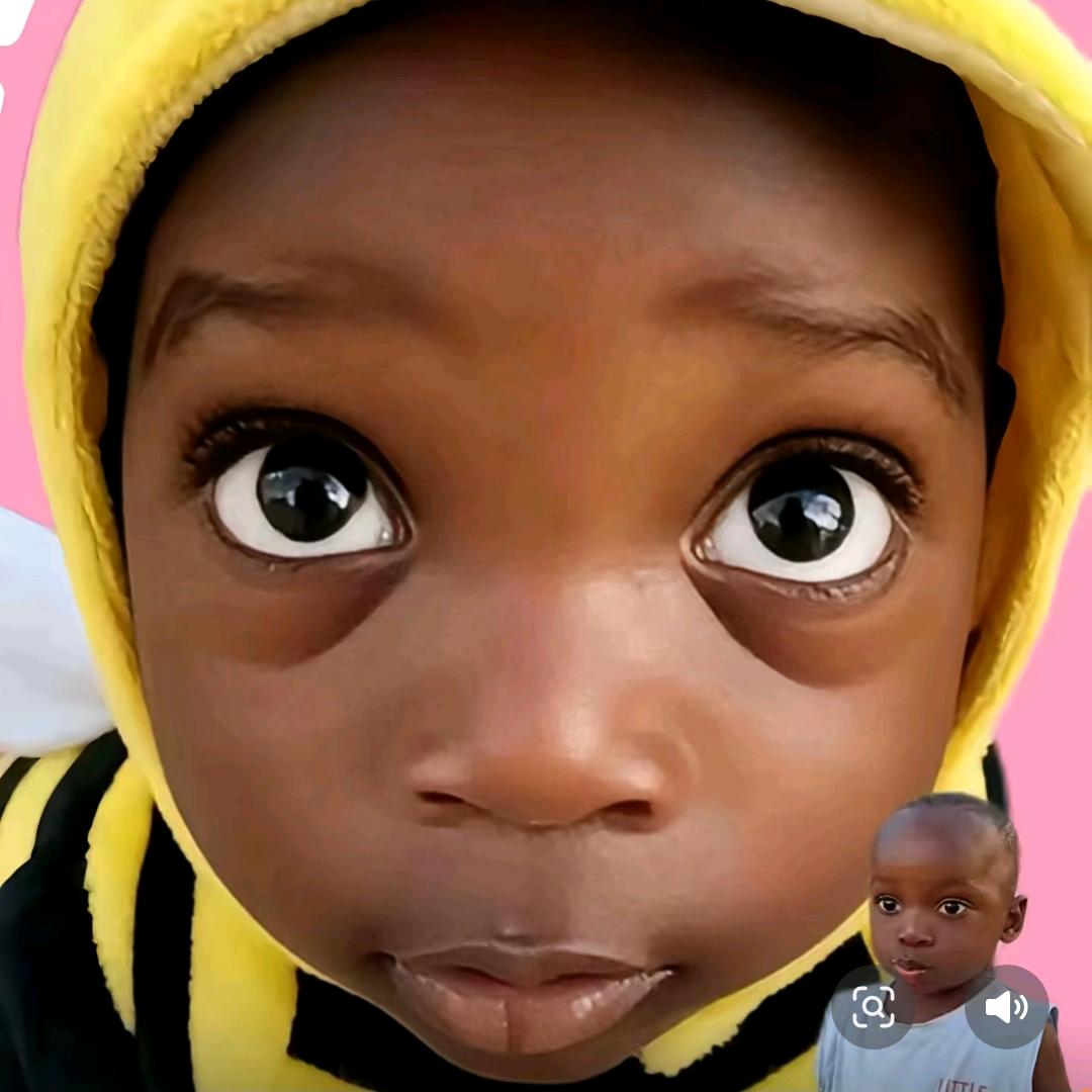 社会没有苍天树，我叫十二少你记住