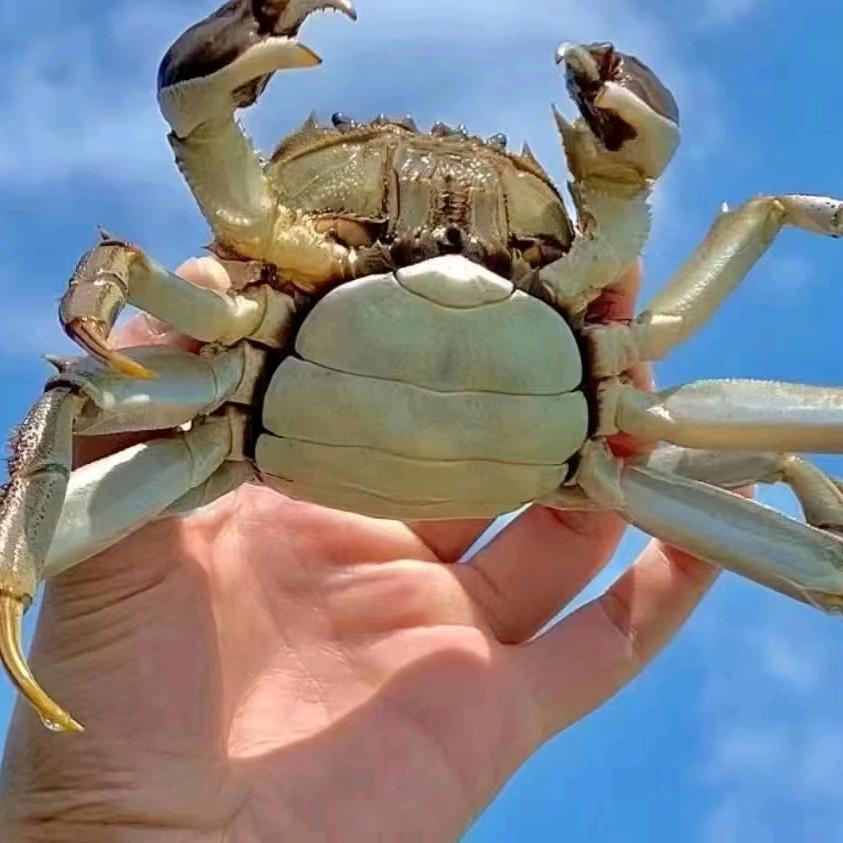 用户288370738009满足