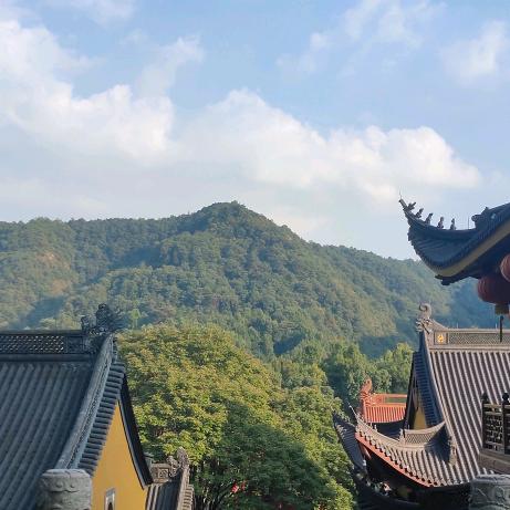 爱吃馒头🍃