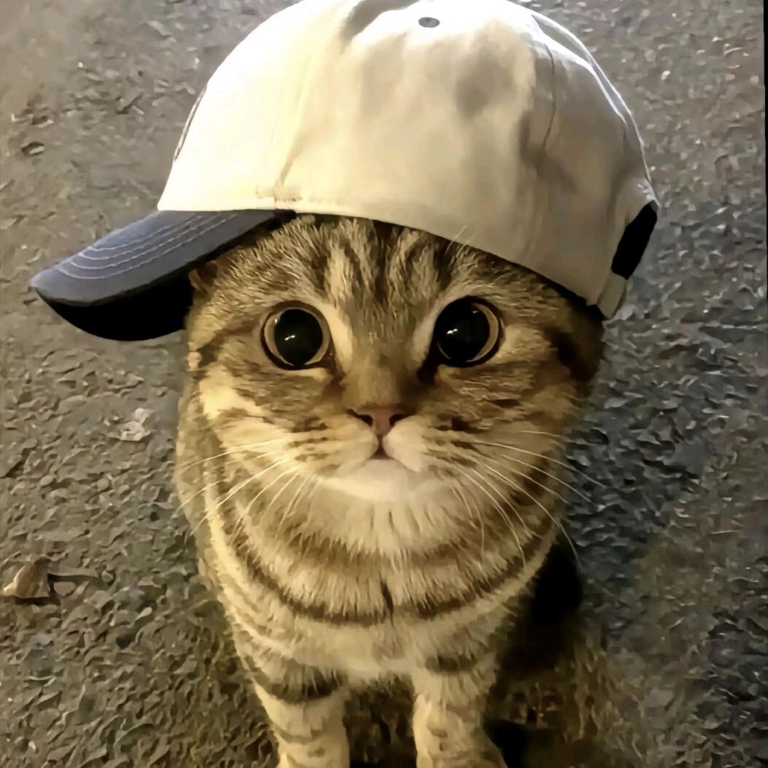 帅气小熊