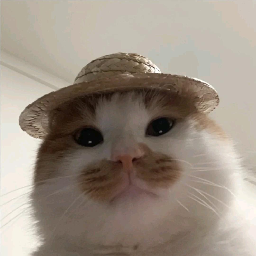 大鹅鹅
