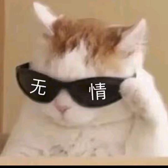 崇崇
