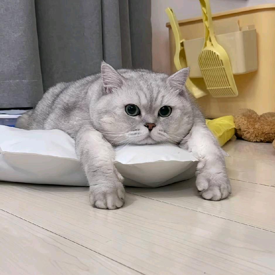 红色墨水