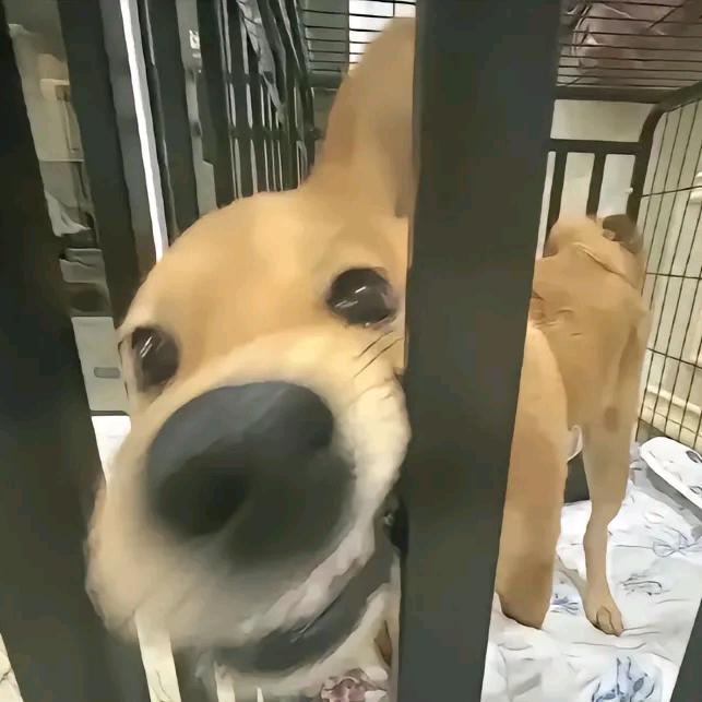 心上任