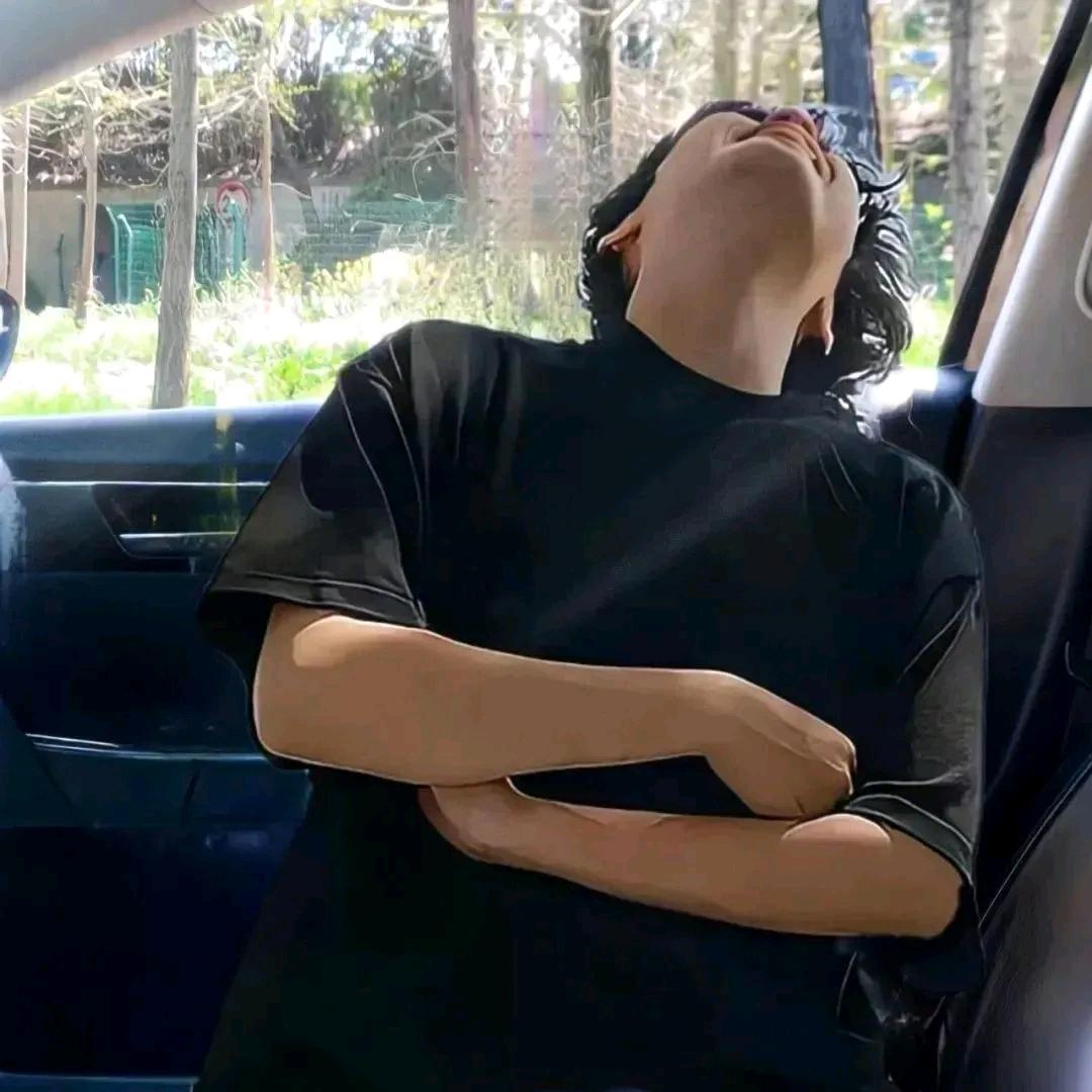 柳暗花又明