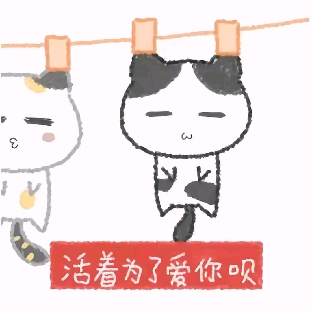小风柒
