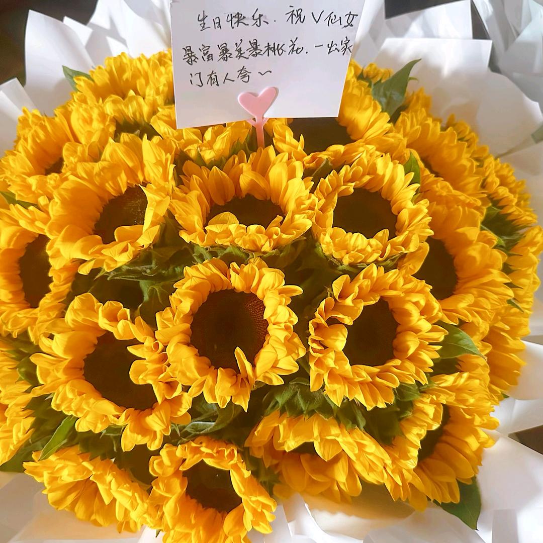 🍂🌱星星偷走睡意💫✨